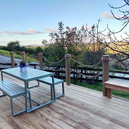 Willa Secluded, Private Rural Retreat Mins From Warkworth -"Avondale" Minihouse Zewnętrze zdjęcie